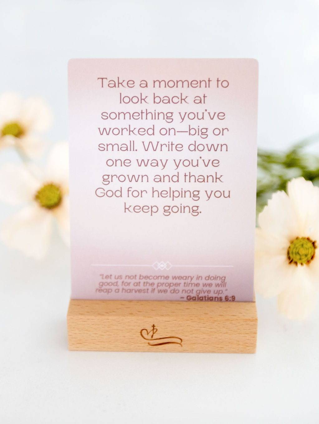 Devotion-in-Action Cards: Teens Edition