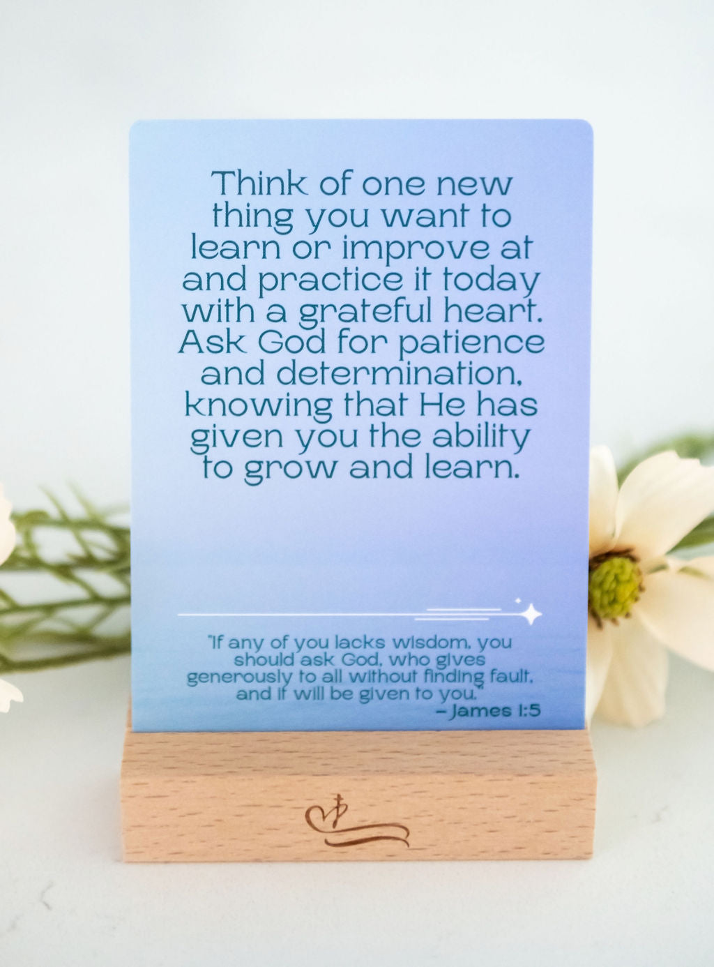 Devotion-in-Action Cards: Tweens Edition