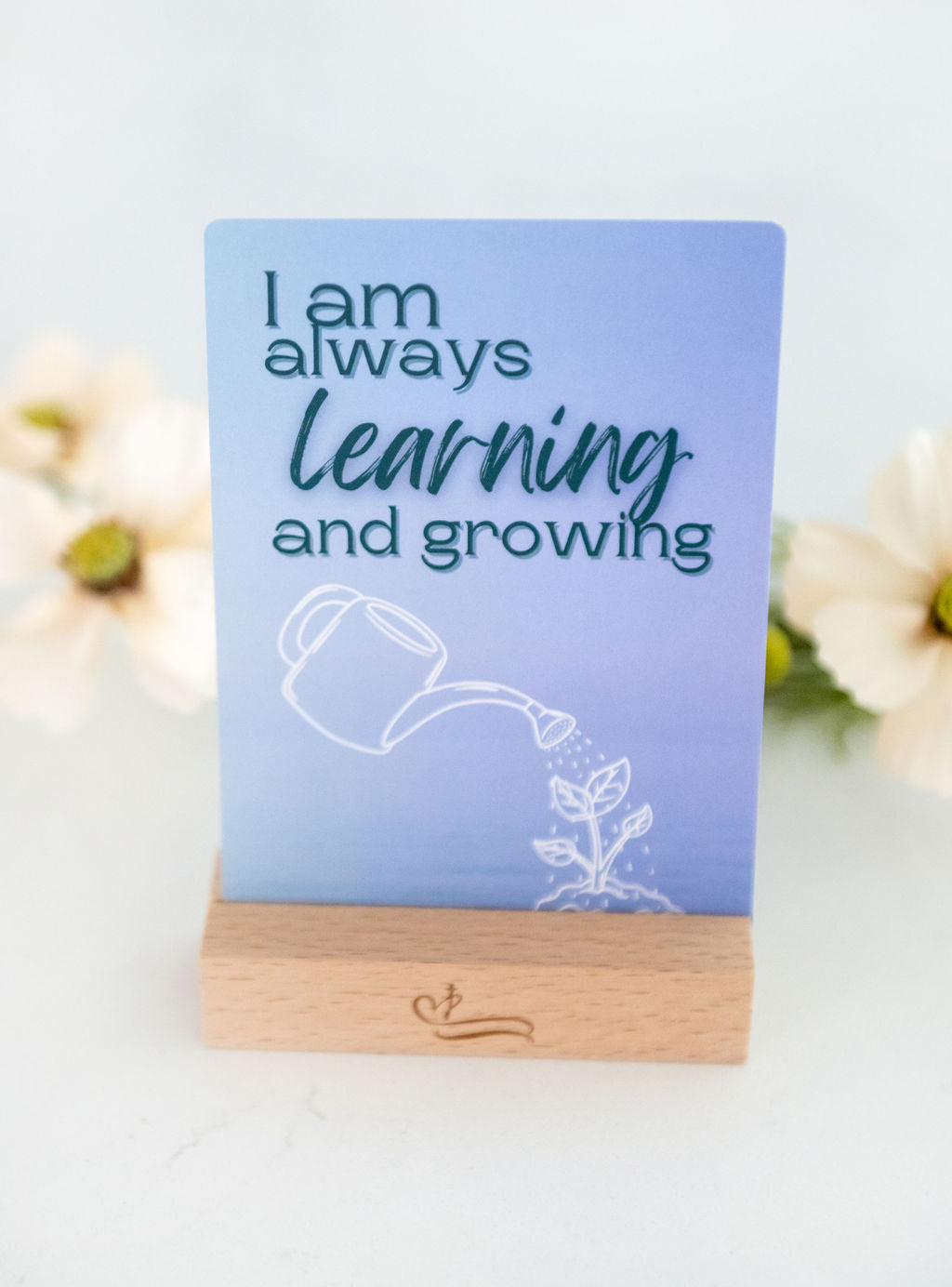 Devotion-in-Action Cards: Tweens Edition